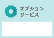 case_option